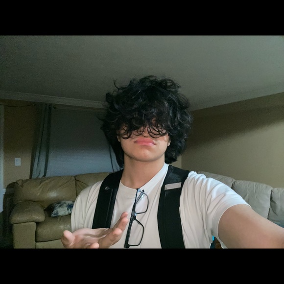 Meet your Posher, Emerson - Picture 1 of 1